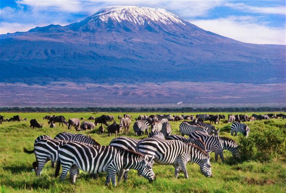 Amboseli National Park 