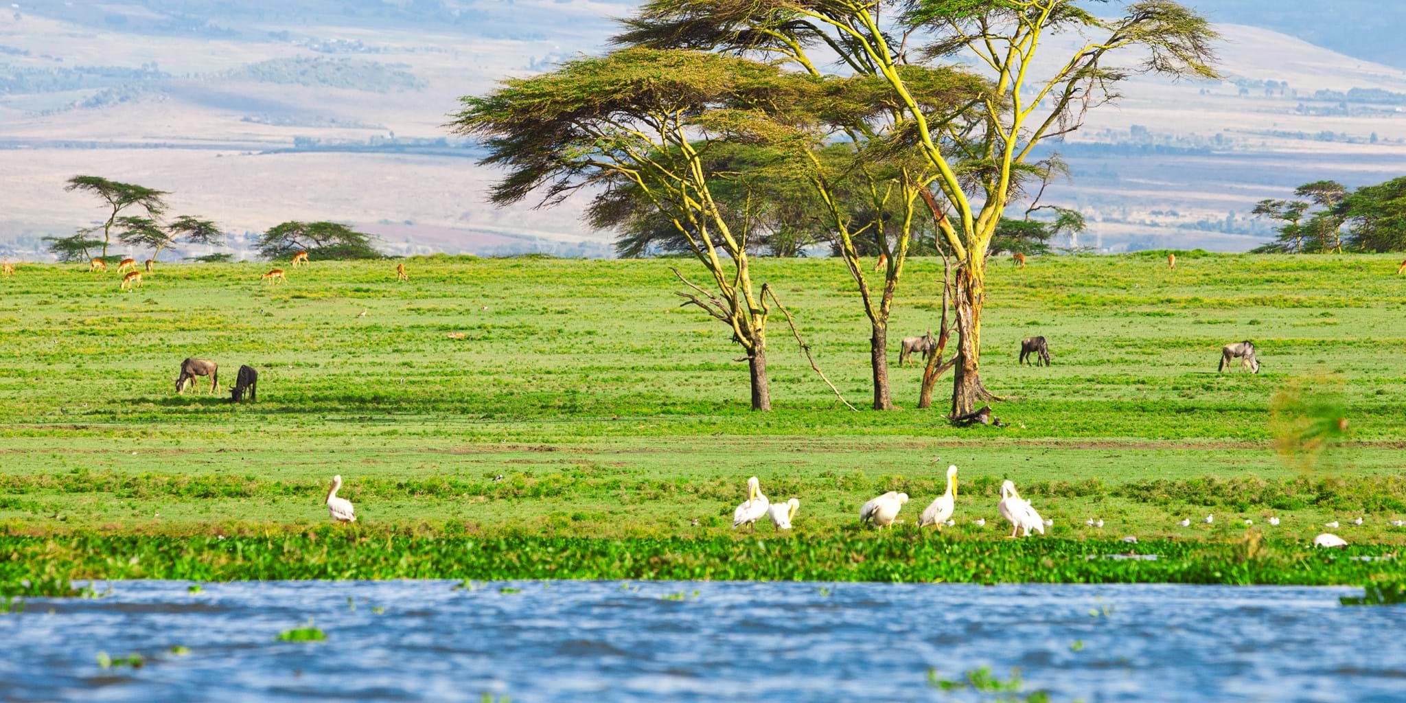 Lake Naivasha boat tour 